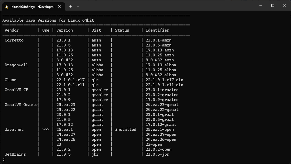 2025-02-10-ubuntu-sdkman-1.png